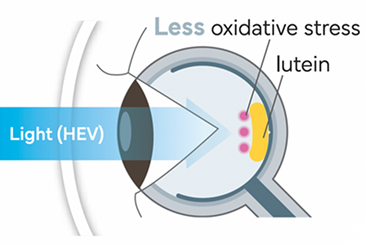 lutein in eye with lutina